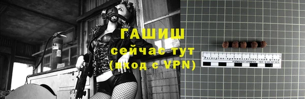 ГАЛЛЮЦИНОГЕННЫЕ ГРИБЫ Гусев