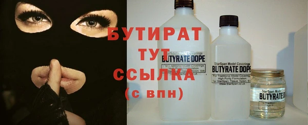 прущие грибы Дмитриев