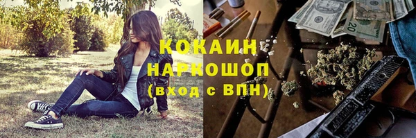 ГАЛЛЮЦИНОГЕННЫЕ ГРИБЫ Гусев