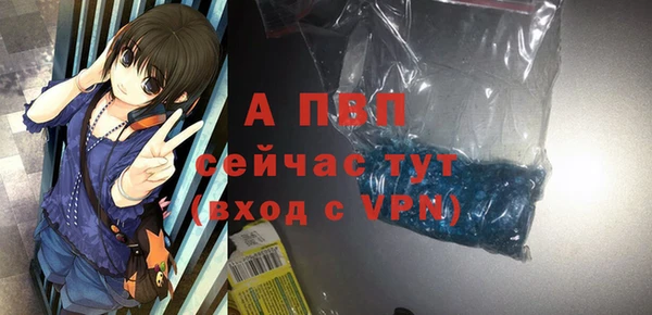 ГАЛЛЮЦИНОГЕННЫЕ ГРИБЫ Гусев
