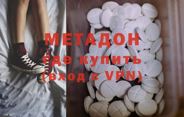 прущие грибы Дмитриев