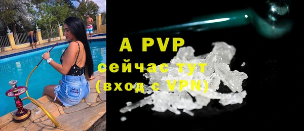 прущие грибы Дмитриев