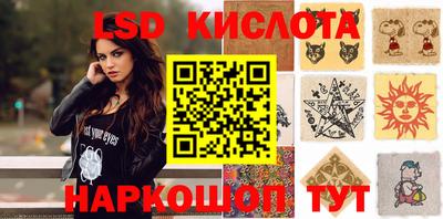 прущие грибы Гатчина
