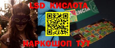 прущие грибы Гатчина