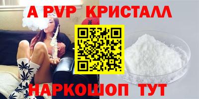 прущие грибы Гатчина