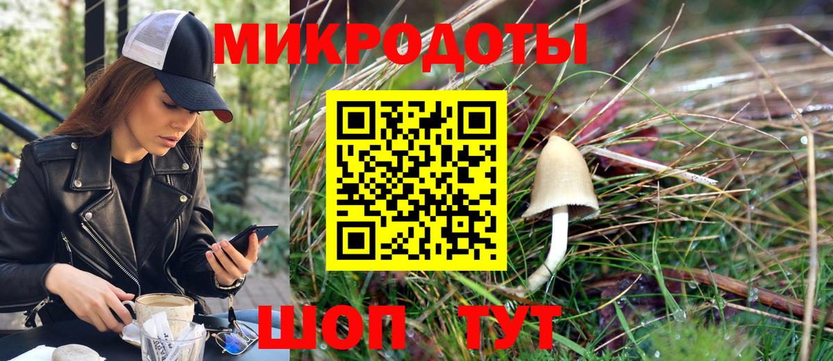 Псилоцибиновые грибы мицелий Похвистнево