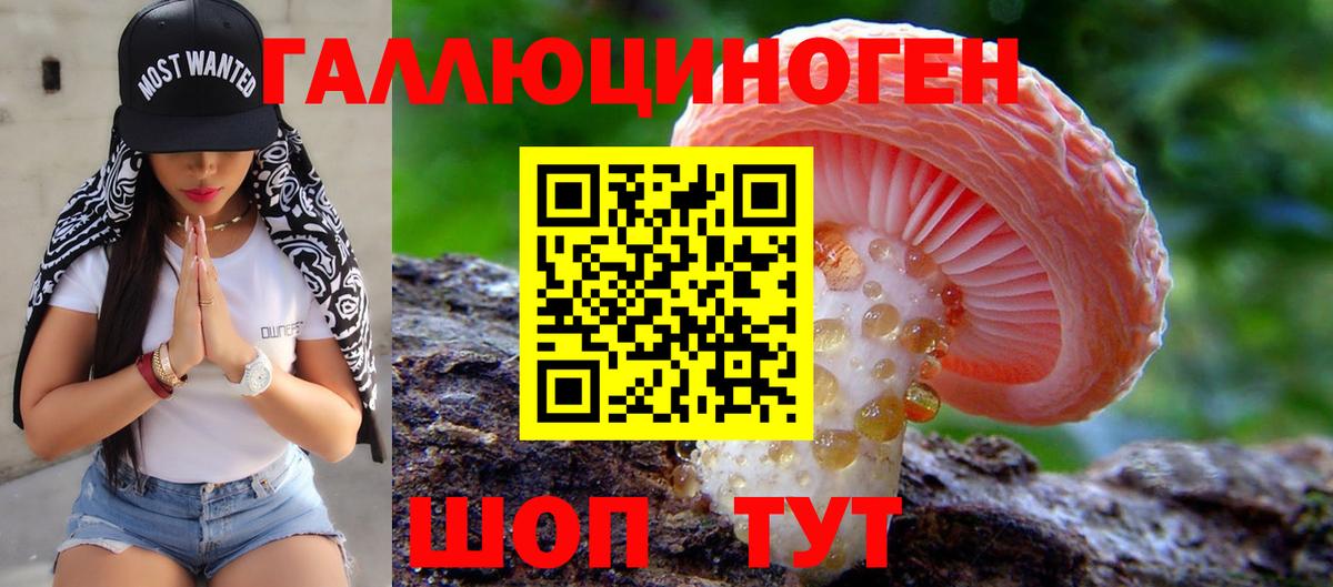 Похвистнево  Псилоцибиновые грибы GOLDEN TEACHER  Галлюциногенные грибы Psilocybe  Вход с VPN 
